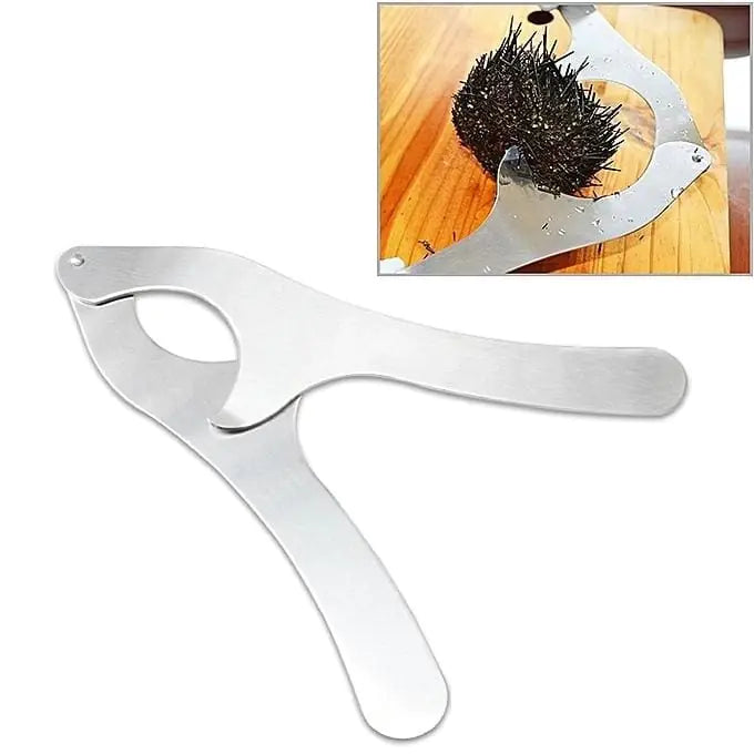 Stainless Steel Sea Urchin Opener Kitchen Tool