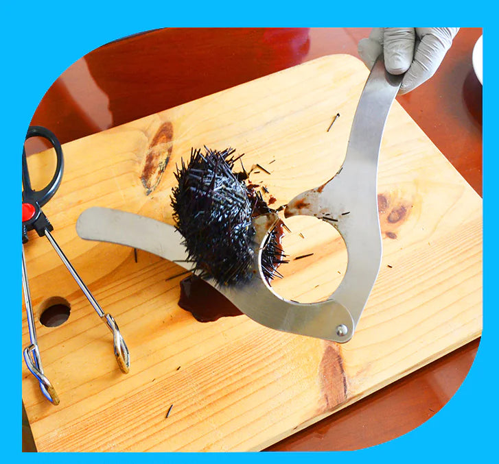 Stainless Steel Sea Urchin Opener Kitchen Tool