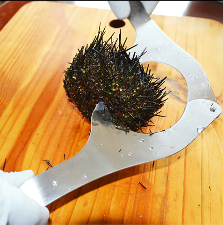 Stainless Steel Sea Urchin Opener Kitchen Tool